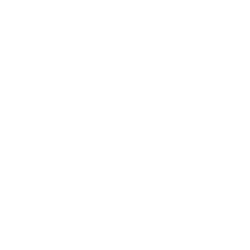 Houdini logo | AIE